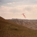 Skinless Takes a Flight [Dissipating Cloud] [Vinyl]