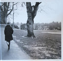 Sleater-Kinney - Path Of Wellness (VINYL) | Mint (M) Mint (M)