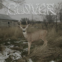 Sleeper'S Bell - Clover |