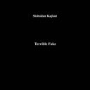 SLOBODAN KAJKUT - Terrible Fake [Vinyl]