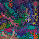 Adventures [CD]