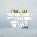 From Far Enough Away Everything Sounds Like The Ocean [CD]