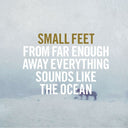 From Far Enough Away Everything Sounds Like The Ocean [Vinyl]