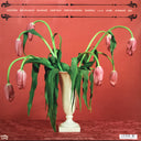 Snail Mail (2) - Valentine | Mint (M) Mint (M)