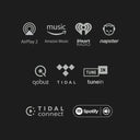 Songbird HR Hi-Res Internet Music Streamer