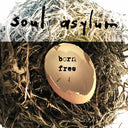 Soul Asylum - Born Free (10-Inch Vinyl) [Vinyl]