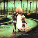 Soul Asylum - GRAVE DANCERS UNION (VINYL LP Music On Vinyl MOVLP1368 2015) |