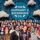 Various - The Elephant 6 Recording Co. (RSD BLACK FRIDAY) | Mint (M) Mint (M)