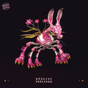 SPECIAL FEELINGS - Special Feelings |