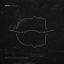 Tsunami Sea (Indie Exclusive, Limited Edition, Black & White Colored Vinyl) | Mint (M) Mint (M)