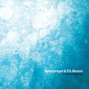 SPRINGINTGUT & F.S. BLUMM - The Bird and White Noise [Vinyl]