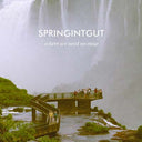 SPRINGINTGUT - Where We Need No Map |