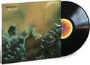 Steely Dan - Katy Lied (180 Gram Vinyl) | Mint (M) Mint (M)