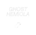 STEFAN GOLDMANN - Ghost Hemiola [Vinyl]