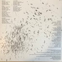 Steve Gunn - Other You | Mint (M) Mint (M)