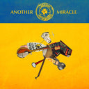 STEVE 'N' SEAGULLS - Another Miracle |