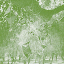 Oionos |