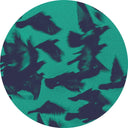 Take Off Music EP |