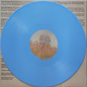 Strawberry Guy - Sun Outside My Window | Mint (M) Mint (M)
