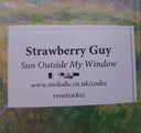 Strawberry Guy - Sun Outside My Window | Mint (M) Mint (M)