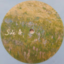 Strawberry Guy - Sun Outside My Window | Mint (M) Mint (M)