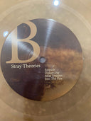 Stray Theories - This Light | Mint (M) Mint (M)
