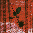 Visible Cloaks Remix |