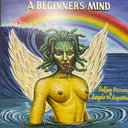 Sufjan Stevens & Angelo De Augustine - A Beginner's Mind | Mint (M) Mint (M)