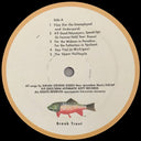 Sufjan Stevens - Greetings From Michigan: The Great Lake State | Mint (M) Mint (M)