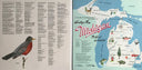 Sufjan Stevens - Greetings From Michigan: The Great Lake State | Mint (M) Mint (M)