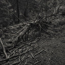 SULT - Always I Gnaw |