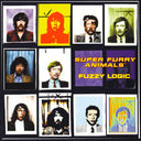Fuzzy Logic [Vinyl]