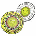 I Should Coco [Zoetrope Lp] [Vinyl]