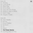 No Rules Sandy [Vinyl]
