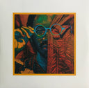 Toro Y Moi - Anything In Return | Mint (M) Mint (M)