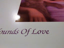 Hounds Of Love: 2018 Remaster (IEX: RASPBERRY BERET VINYL) | Mint (M) Mint (M)
