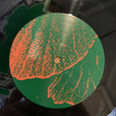 Cold Beat - War Garden | Near Mint (NM) Near Mint (NM)