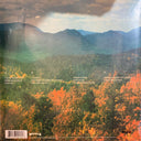Tame Impala - Innerspeaker | Mint (M) Mint (M)