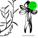 TARO NOHARA - Poly-Time Soundscapes / Forest Of The Shrine |