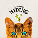 Hiding - 12" [Vinyl]