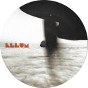 Love Somebody Else (VINYL) | Mint (M) Generic