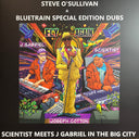 Scientist - Fly Again Dub Remixes (VINYL) | Mint (M) Mint (M)