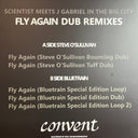 Scientist - Fly Again Dub Remixes (VINYL) | Mint (M) Mint (M)