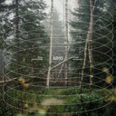 Gidge - AB10: Autumn Bells 10 Year Anniversary | Mint (M) Mint (M)