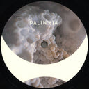 Eric Cloutier - Perpetual Booty Grooves Vol.1 (VINYL 12" Palinoia) | NEW Mint (M) Generic