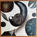The Worm - On The Move (VINYL) | Mint (M) Mint (M)