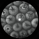 Parallel Space EP (VINYL) | Mint (M) Generic