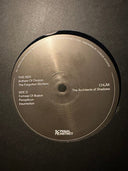 Chlär - The Architects of Shadows (2xVINYL) | Mint (M) Mint (M)