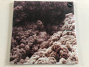 Trentemøller - Into The Great Wide Yonder (2XLP VINYL) | Mint (M) Mint (M)