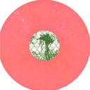 Echologist - Activation | Mint (M) Mint (M)